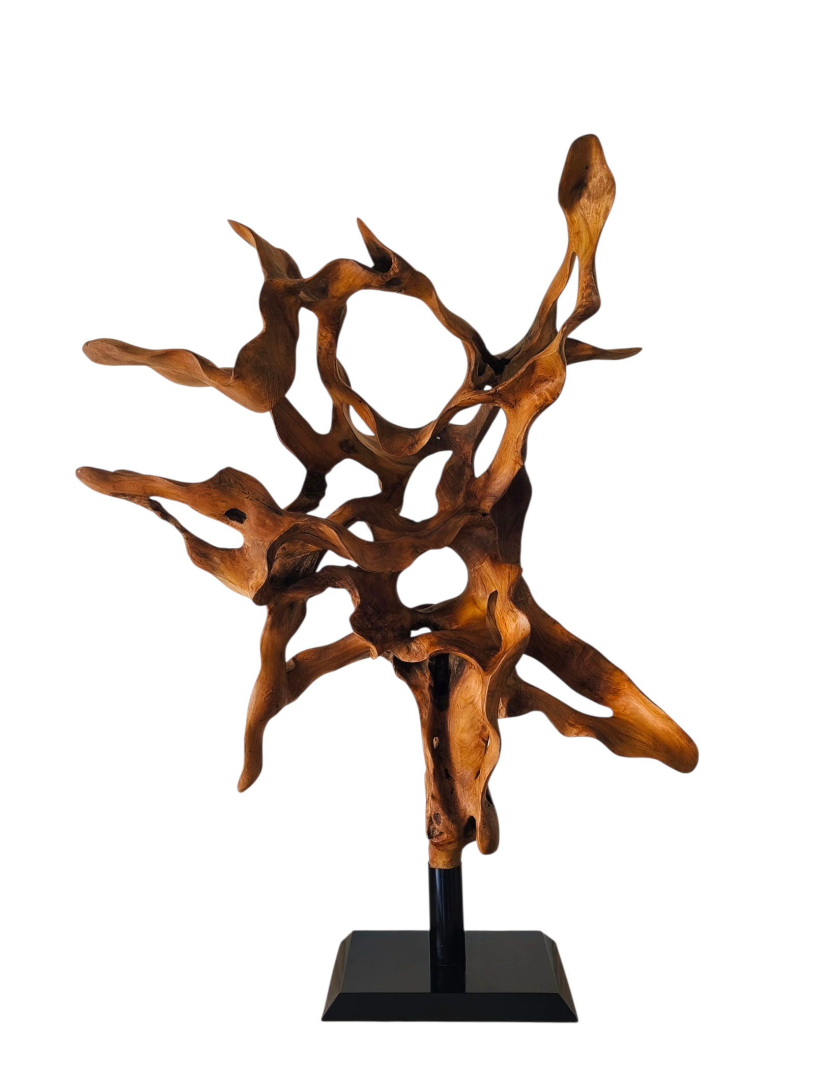 sculpture en racine de teck