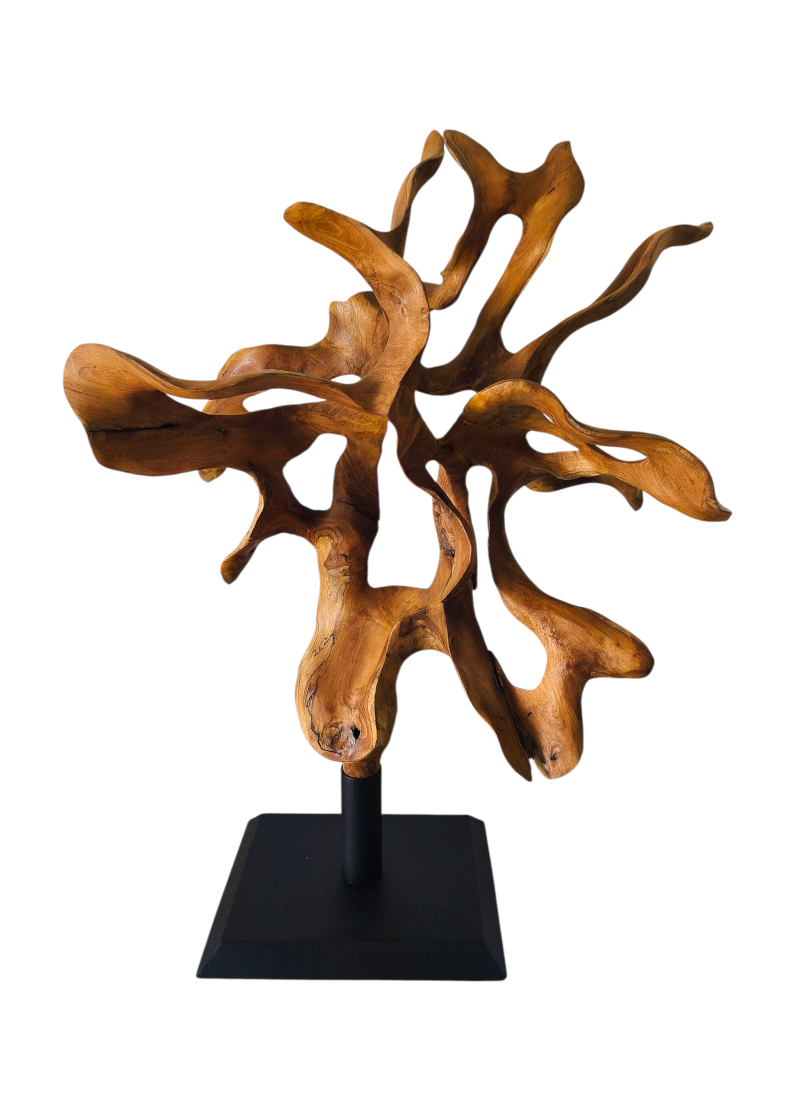 sculpture en racine de teck