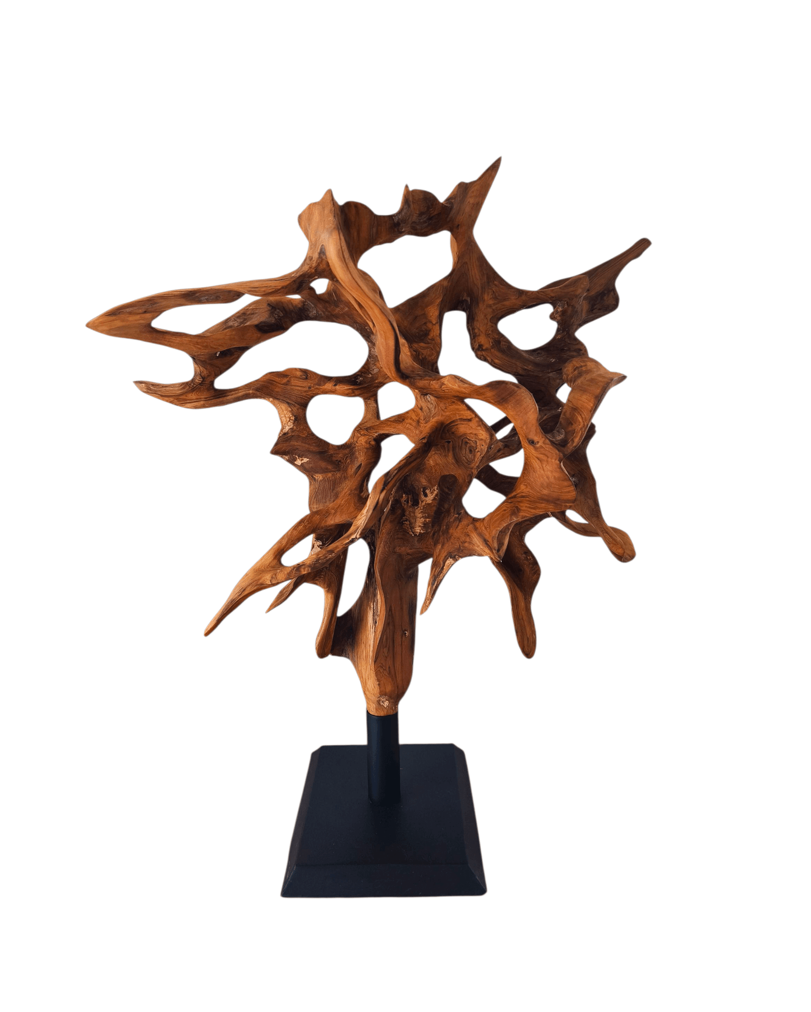 sculpture en racine de teck